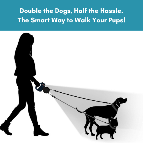 Tangle-Free Dog Leash