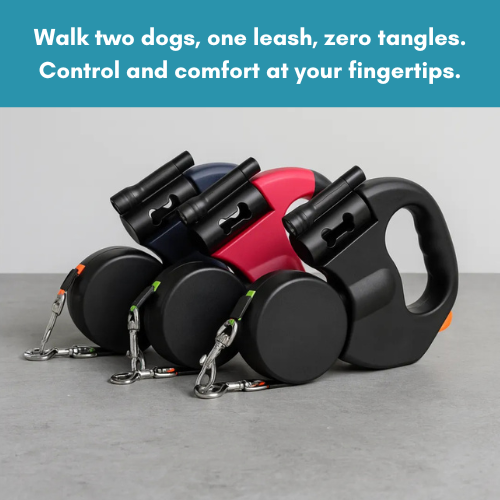 Tangle-Free Dog Leash