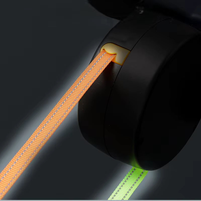 Tangle-Free Dog Leash